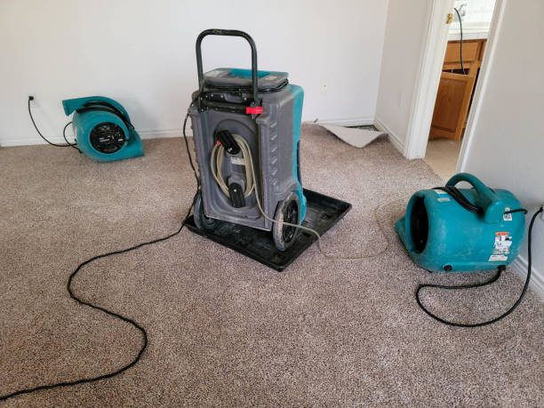 Best Emergency water damage restoration  in Carolina Beach, NC