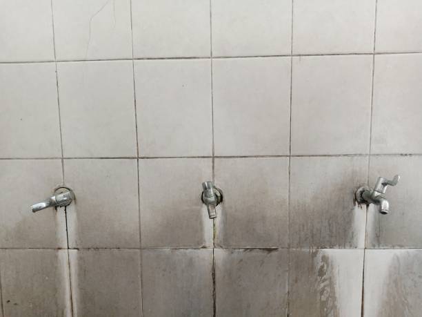 Best Ceiling water damage repair  in Carolina Beach, NC