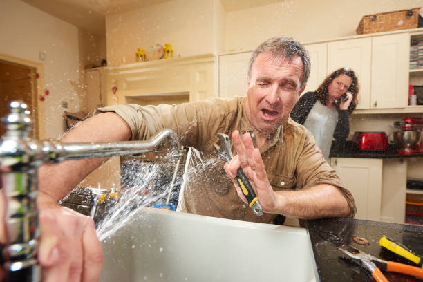 Best Mold removal after water damage  in Carolina Beach, NC